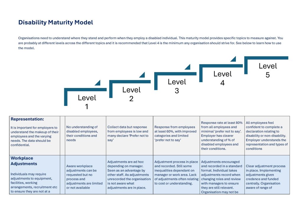 disability maturity model 0.2 page 1