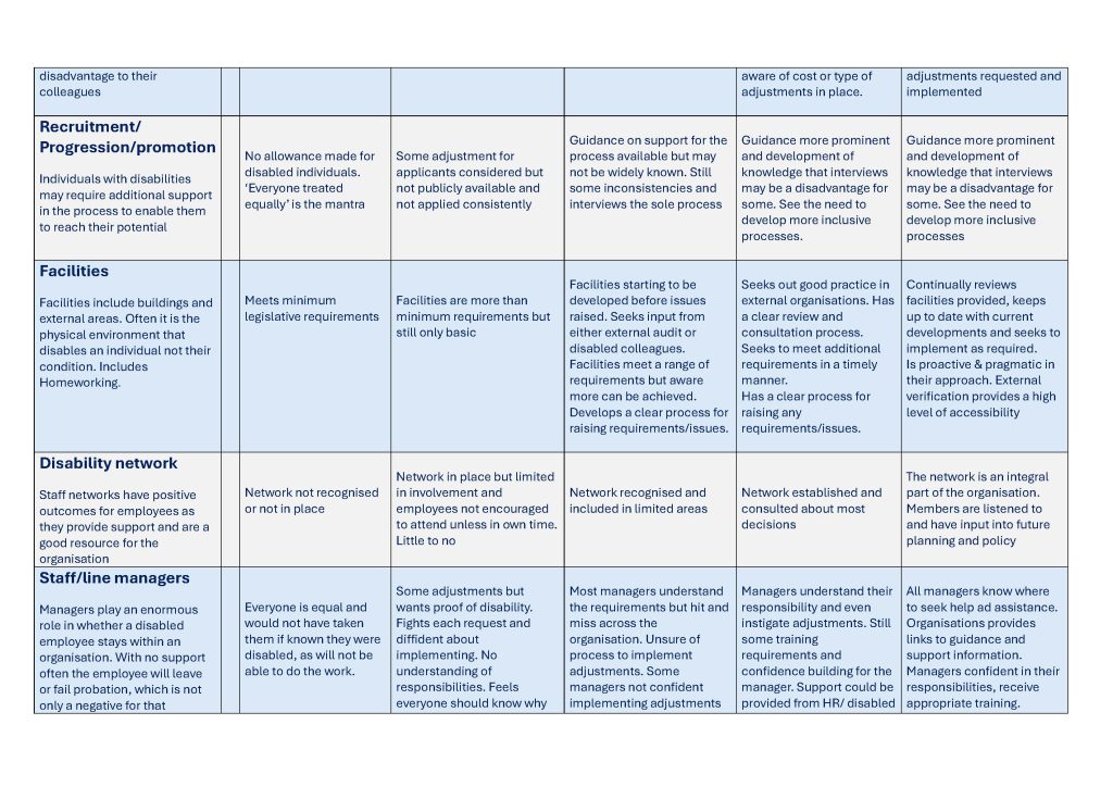 disability maturity model 0.2 page 2