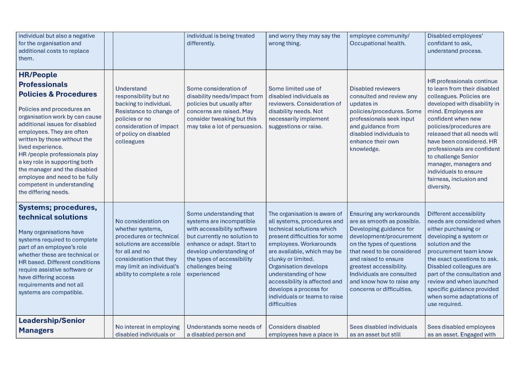 disability maturity model 0.2 page 3