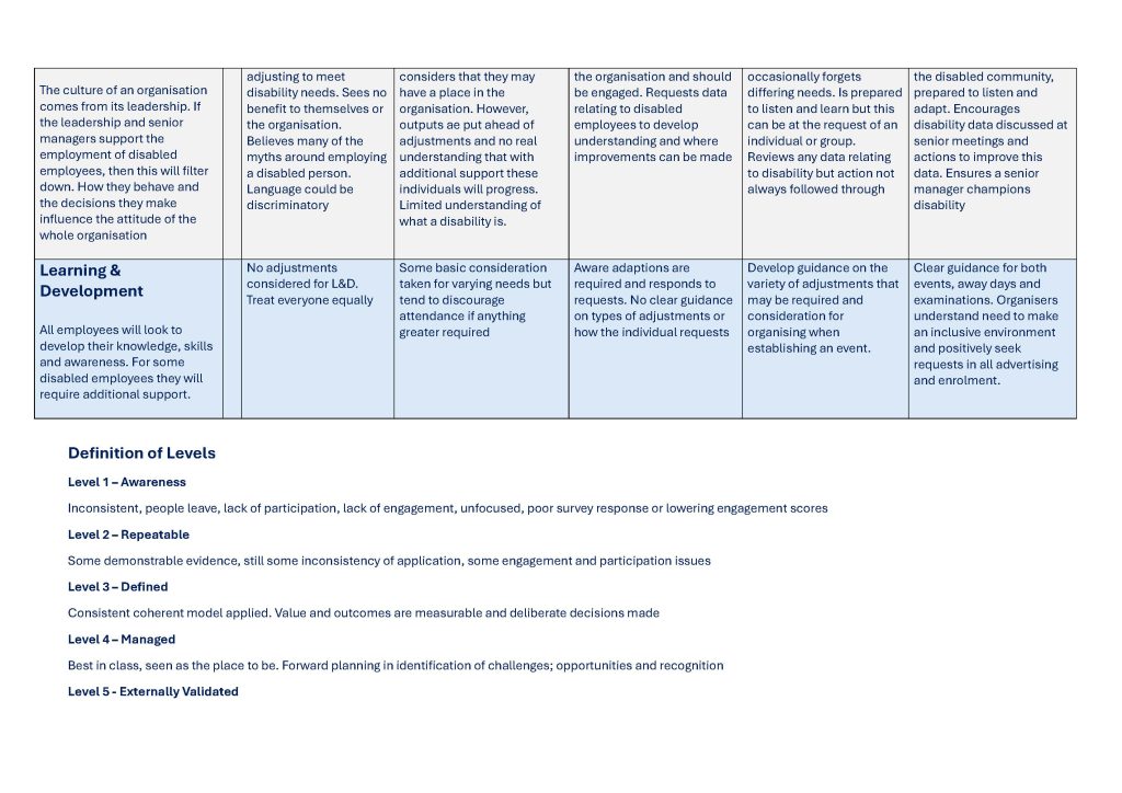 disability maturity model 0.2 page 4