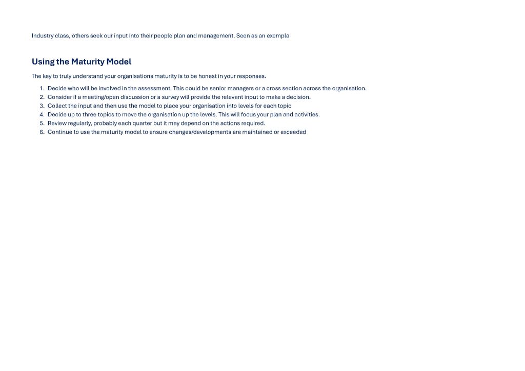 disability maturity model 0.2 page 5